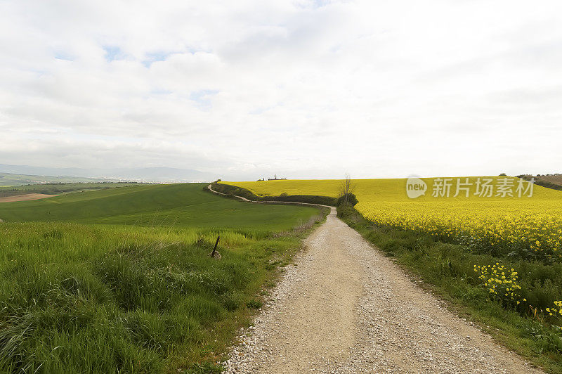 圣地亚哥德孔波斯特拉路全景，纳瓦拉，西班牙