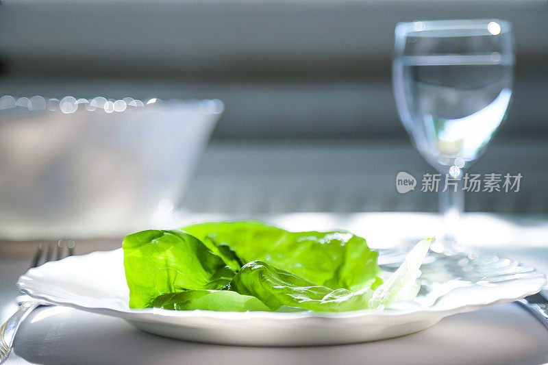 饮食概念餐，单片生菜盘