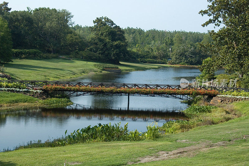 池塘上的花园桥