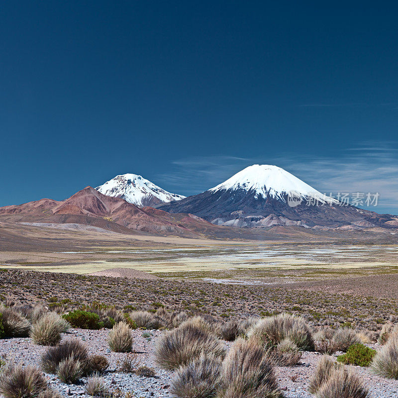 智利劳卡国家公园的帕里纳科塔火山