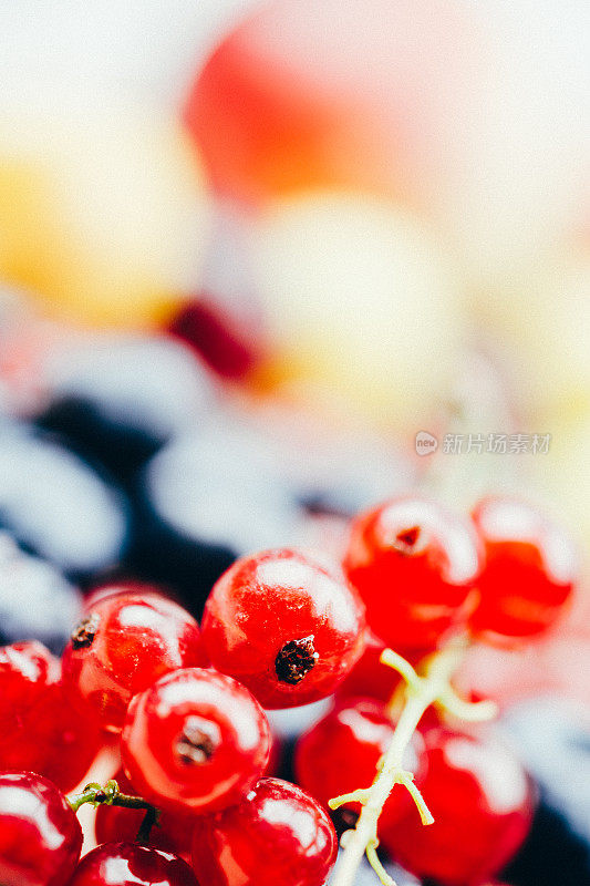 蓝莓，红醋栗，浆果果在木背景的特写