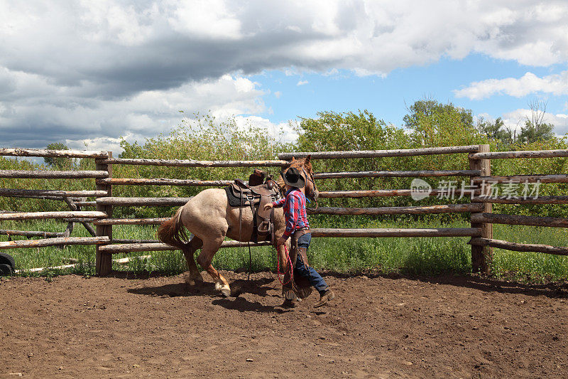 牛仔在畜栏里训练野马