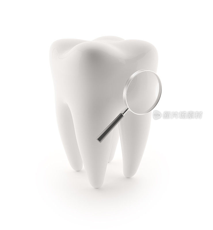 3D人类牙齿与放大镜