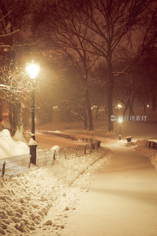 在暴风雪的晚上去中央公园