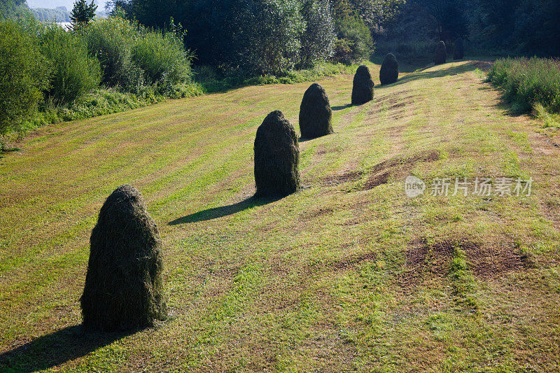 干草堆日出时