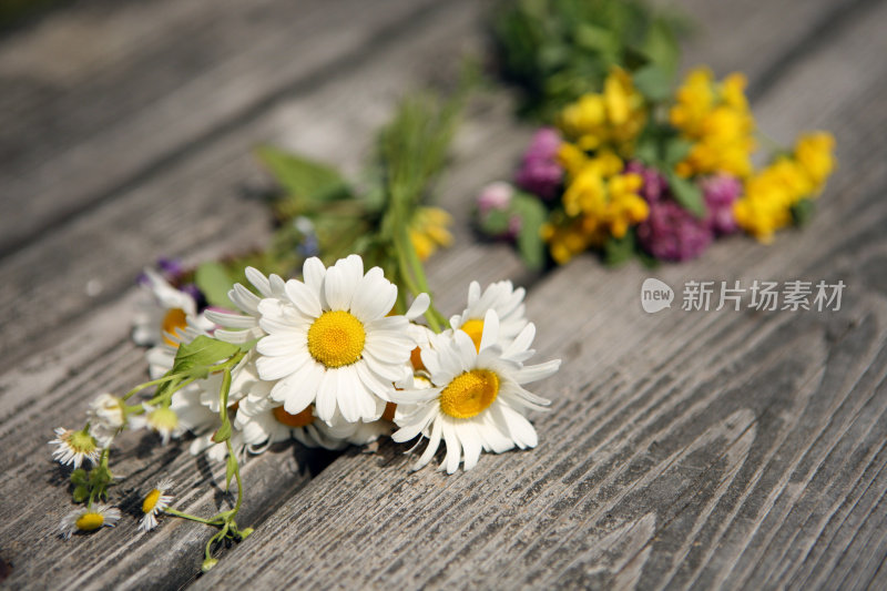 夏天乡间木凳上的野花花丛