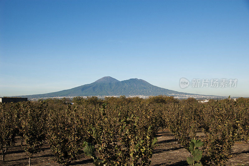 太维苏威火山