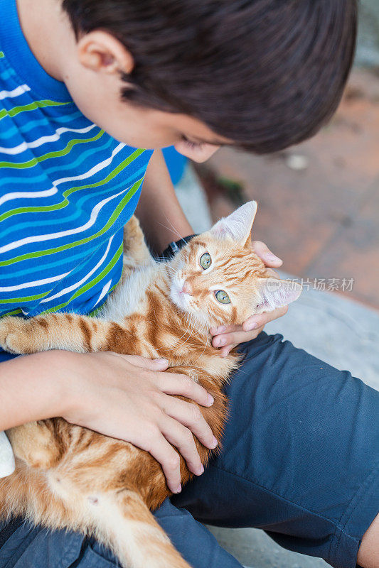 孩子与猫