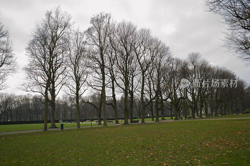 比利时布鲁塞尔，秋天公园里的树木