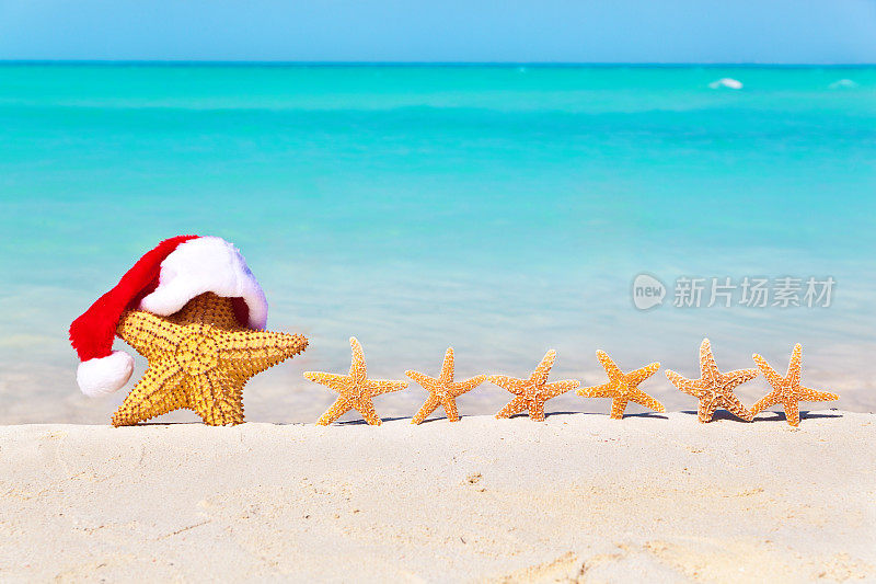 圣诞假期加勒比海滩上的海星一家