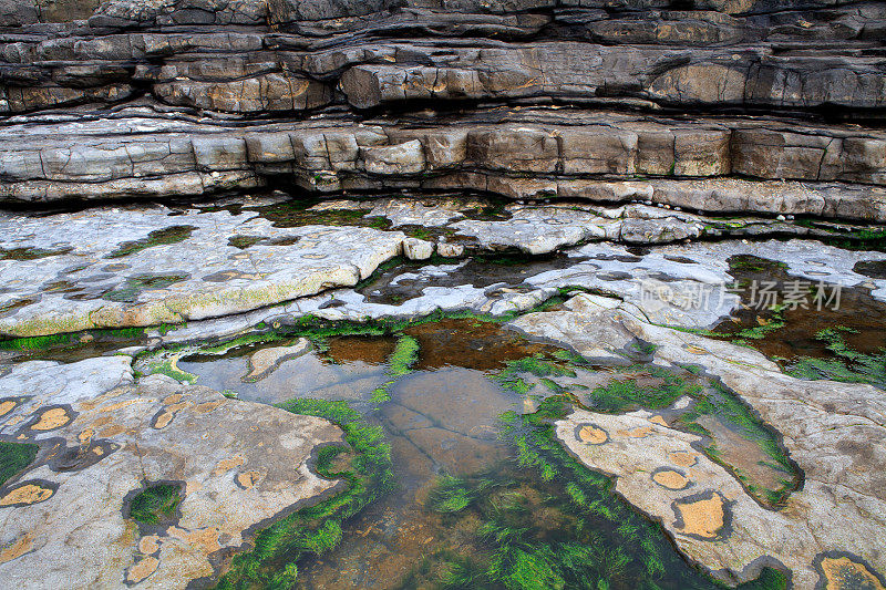 爱尔兰伊斯基海滩岩石上的化石