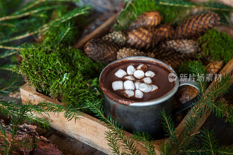 热巧克力与圣诞节