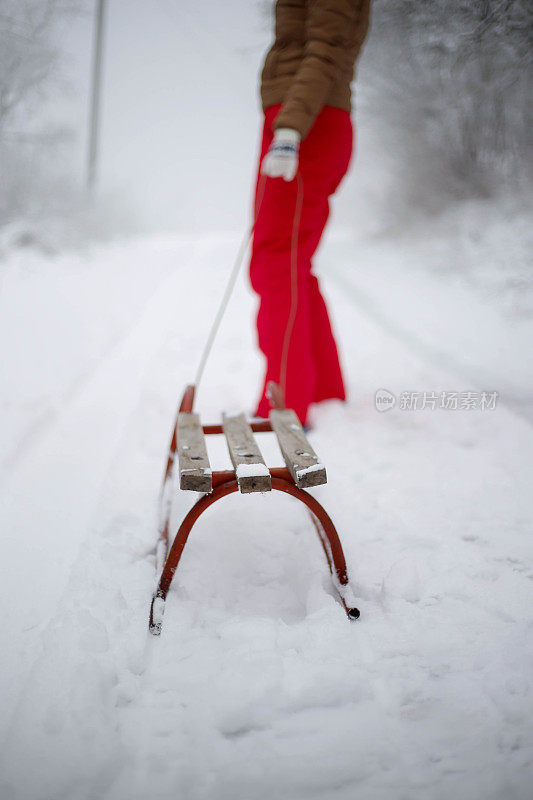 女孩在森林里散步，拉雪橇。一个开心的女人。圣诞假期。女孩免费休息。圣诞树躺在雪橇上。美丽的年轻女孩或女人在森林里散步。拉木制雪橇