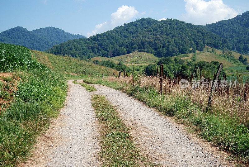 农村公路