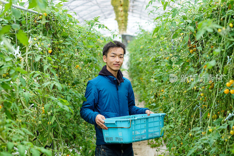 一个中年男人站在他的小温室里