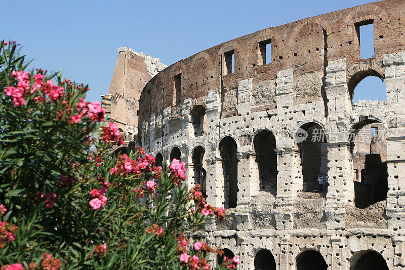 罗马圆形大剧场用鲜花
