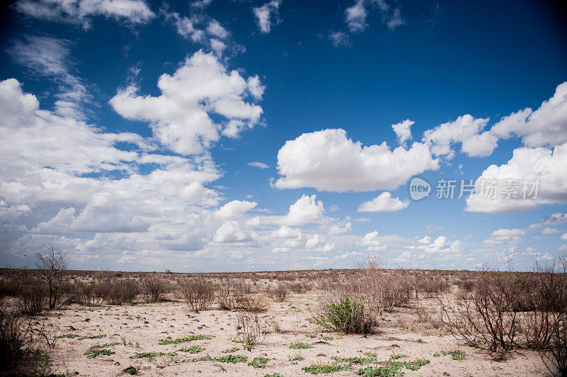 博茨瓦纳的风景