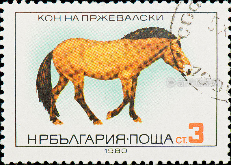 保加利亚的邮票