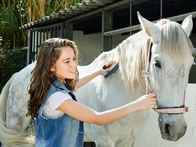 女孩在洗她的马