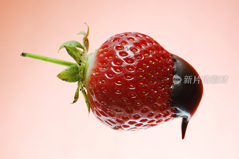草莓蘸比利时巧克力粉
