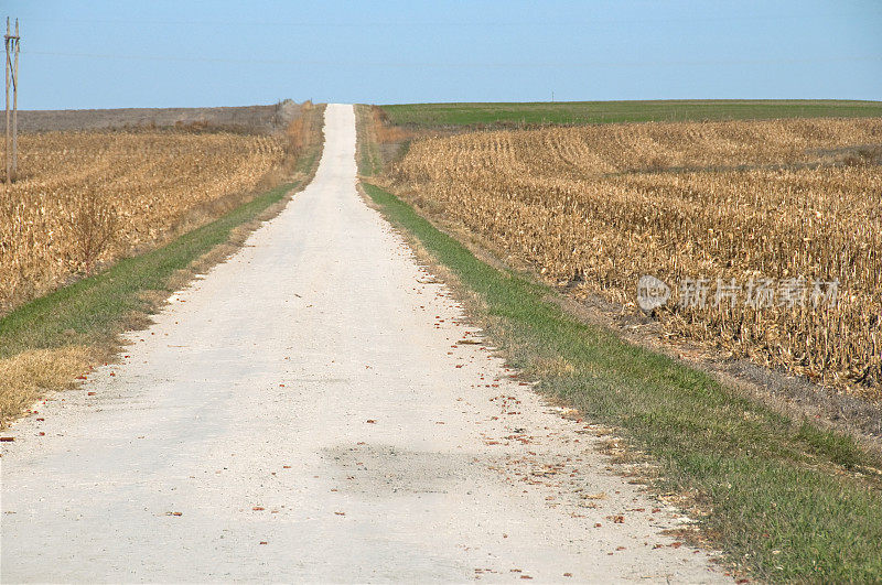 一条白色的土路穿过收割过的玉米田