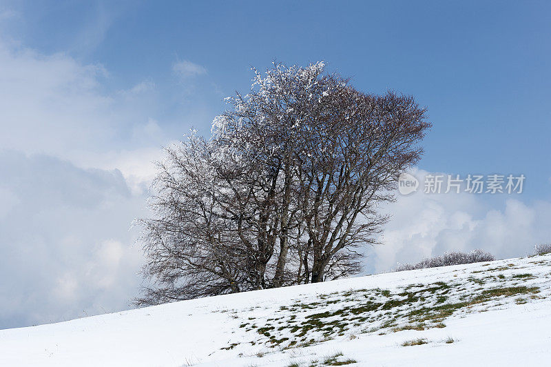 春天雪覆盖了这座山