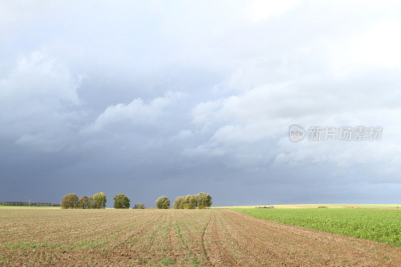 乌云笼罩着晴朗的农田瓦隆尼亚比利时