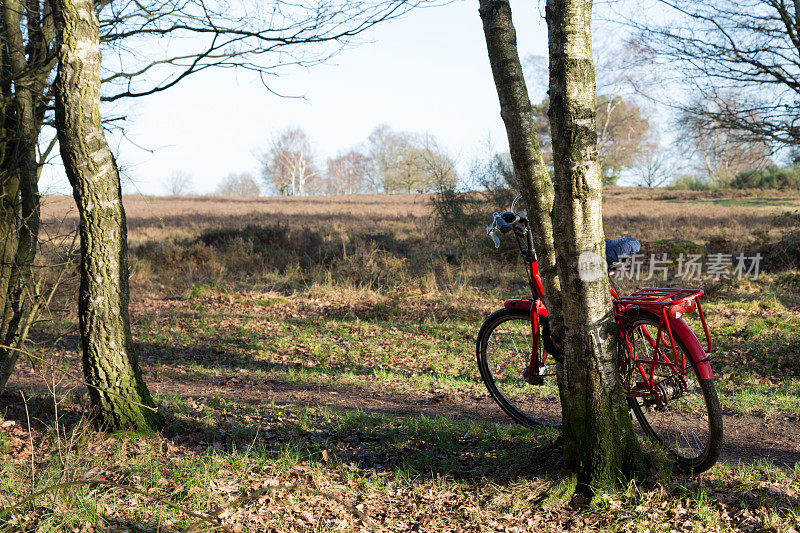 在阳光明媚的冬日，红色的自行车靠在树上