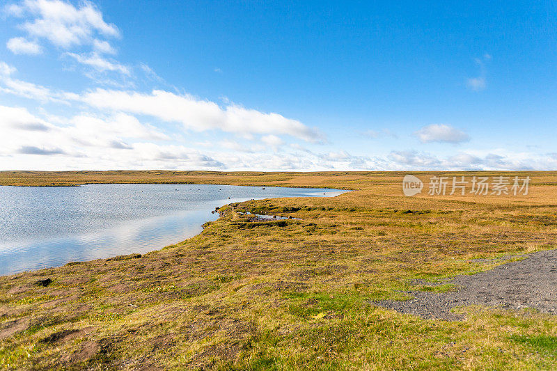 在阳光明媚的九月里，冰岛的苔原景观