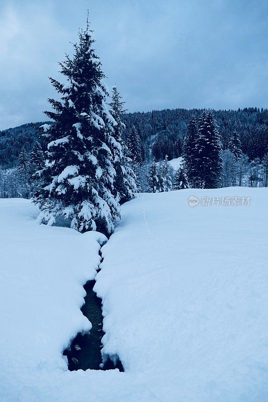 在欧洲阿尔卑斯山脉，冰雪覆盖的冬季景观和森林