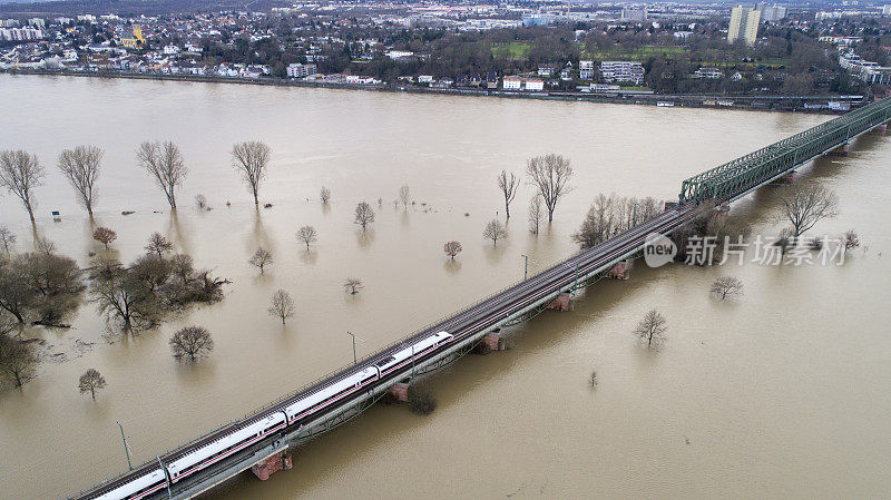 德国莱茵河和美因河被洪水淹没