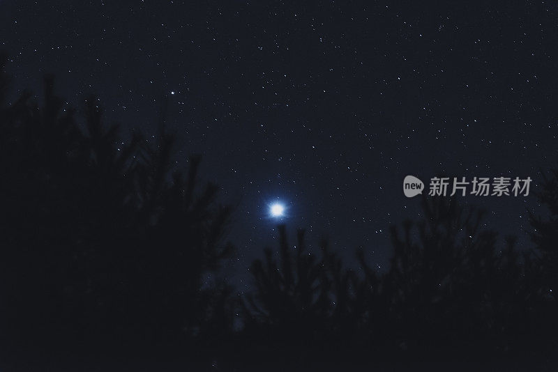 明亮的星天狼星