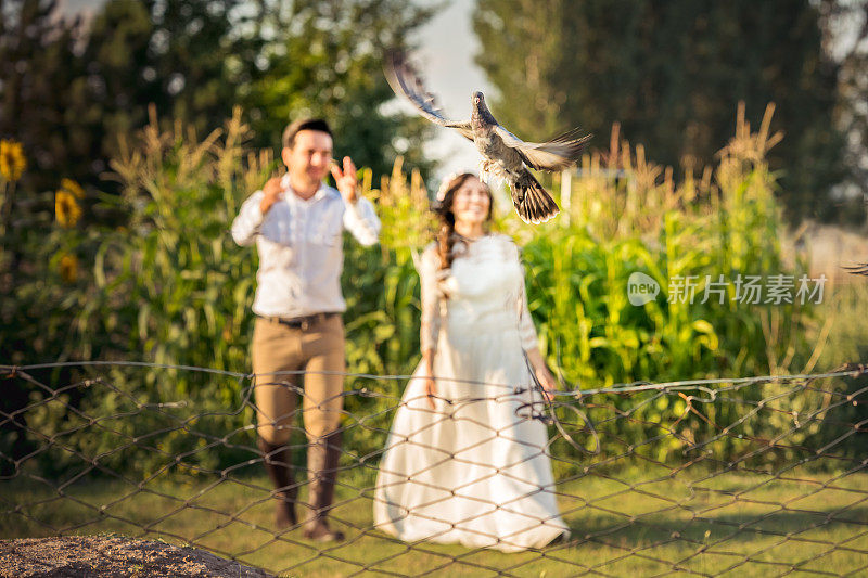 新娘和新郎与鸟