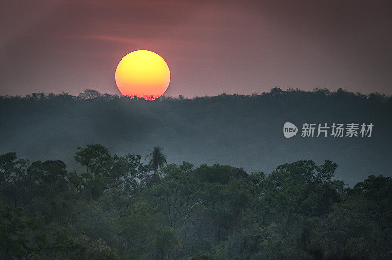 巴西潘塔纳尔湿地上的日落