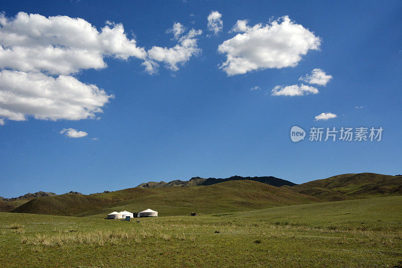 蒙古国阿尔泰山附近的蒙古国