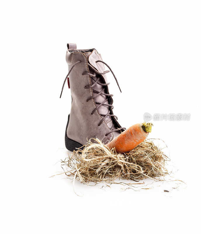 荷兰节日“Sinterklaas”的传统场景。还有为圣诞老人的马准备的稻草和胡萝卜
