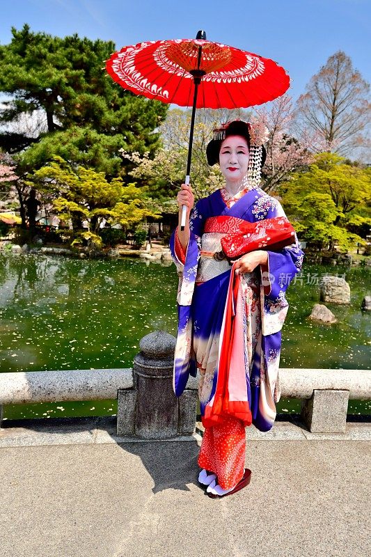 日本女人在Maiko的服装和发型享受京都的春天