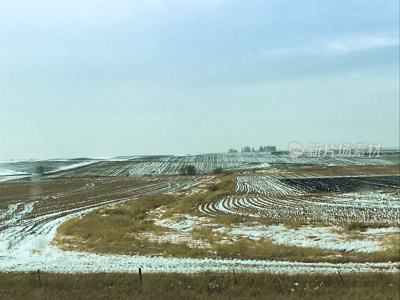 霜冻的春田和小雪