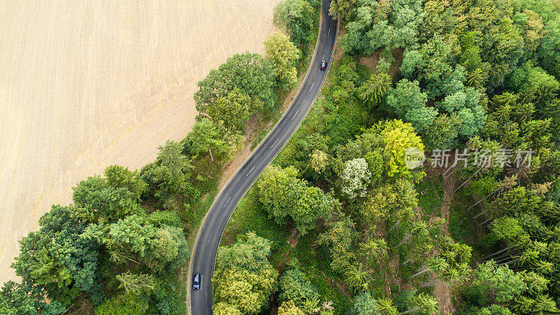 蜿蜒的道路穿过森林