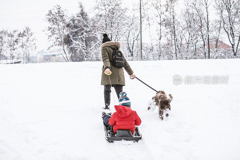 快乐的年轻家庭在新鲜的雪中玩耍