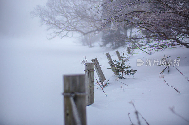 去日光山的雪兰山