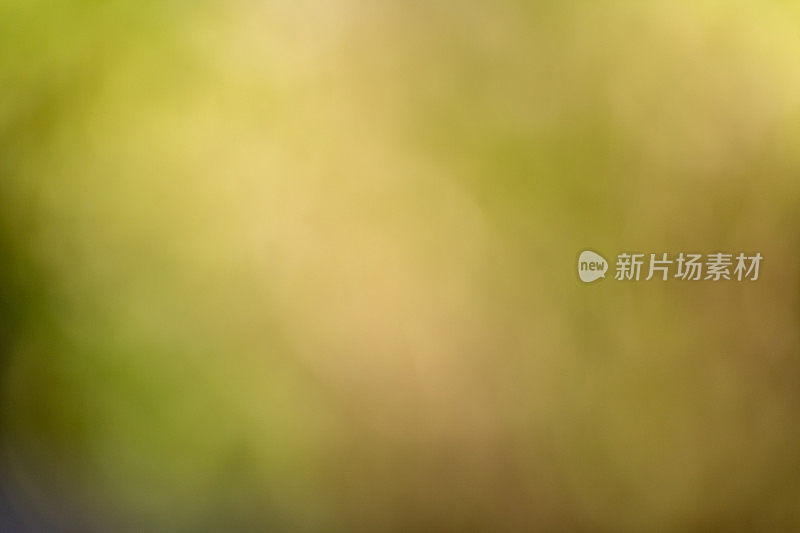 绿色模糊(bokeh)背景