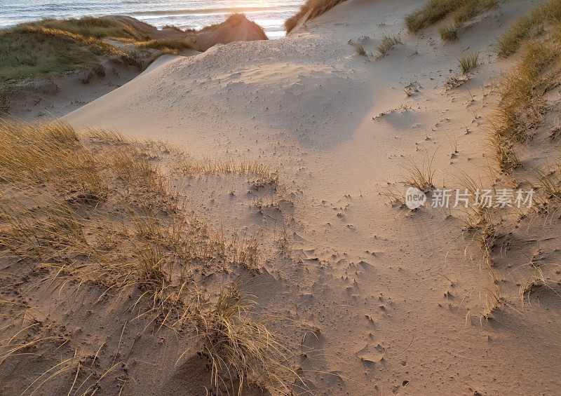 海面和沙丘上的日出