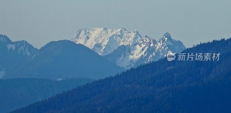 贝克山森林