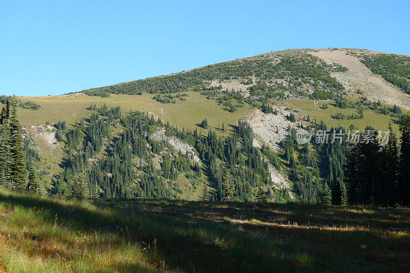 夏天雷尼尔山