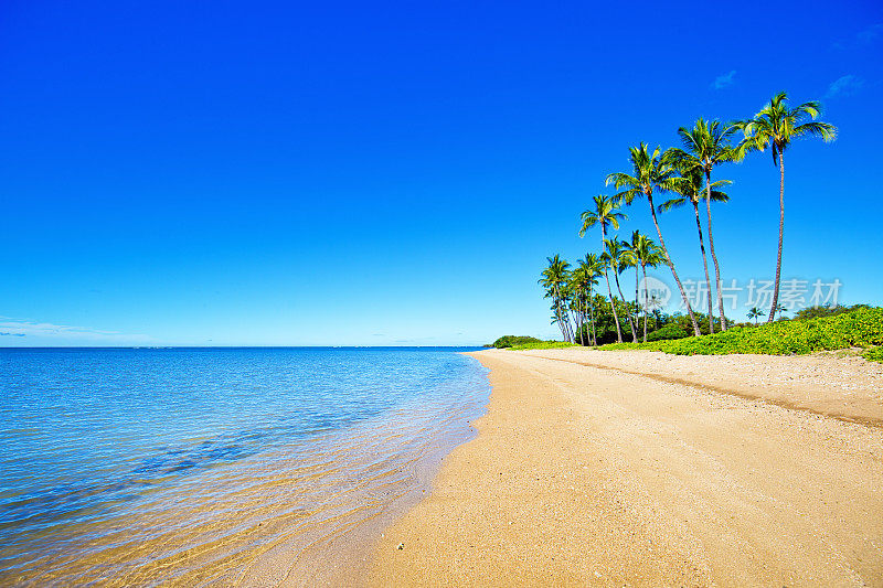 夏威夷莫洛凯岛的海滩