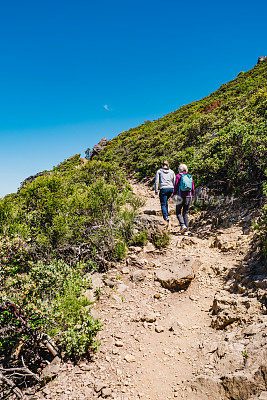 Tamalpais山徒步，马林县，美国加州