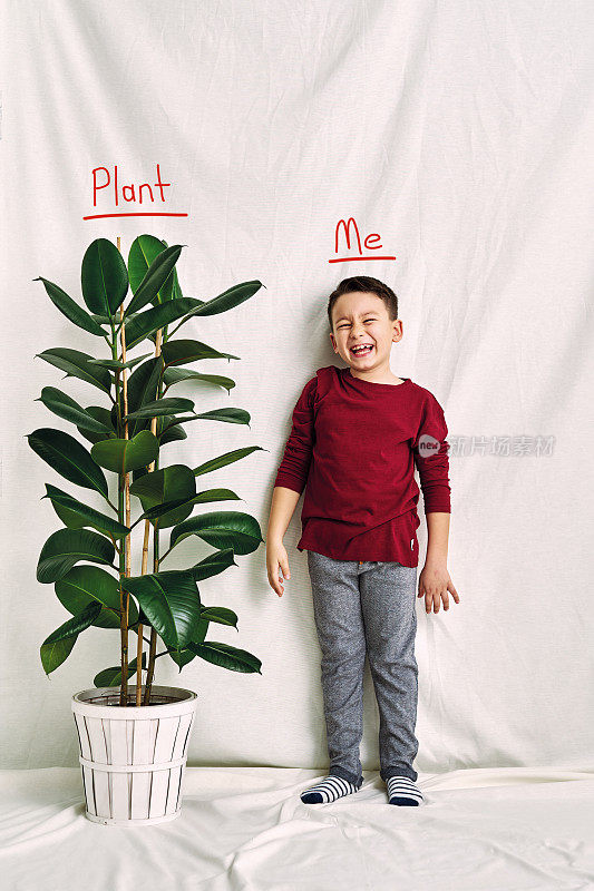 可爱的孩子在测量他的身高。增长和竞争的概念。