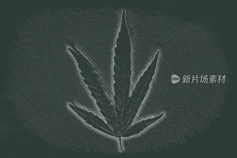 黑板-医用大麻叶