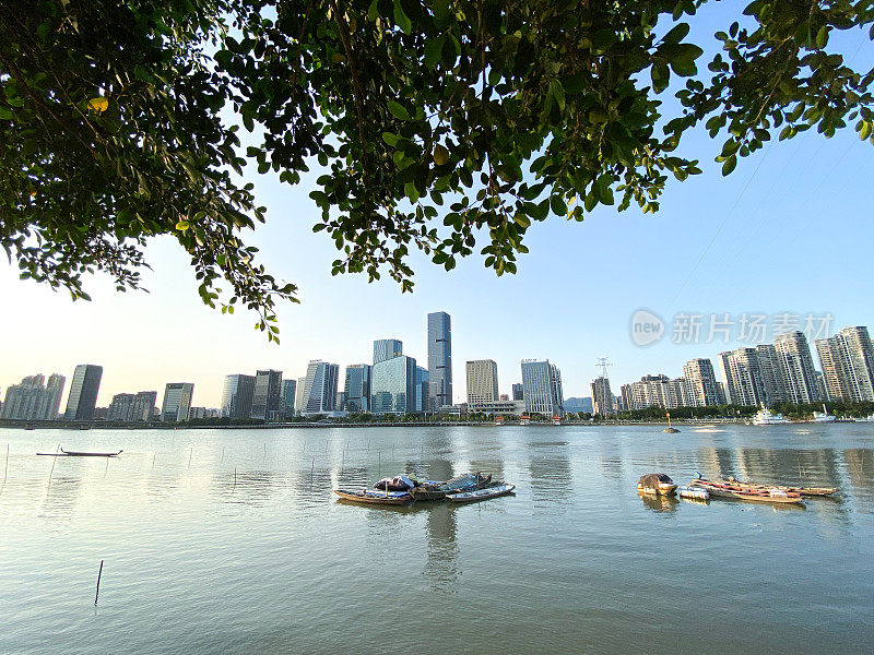 滨水城市与叶的前景